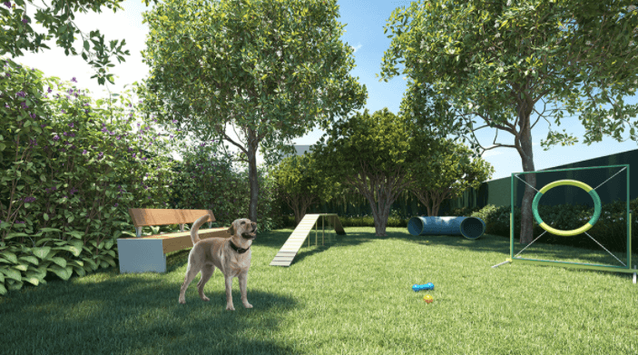 Pet place do Haus Mitre Perdizes